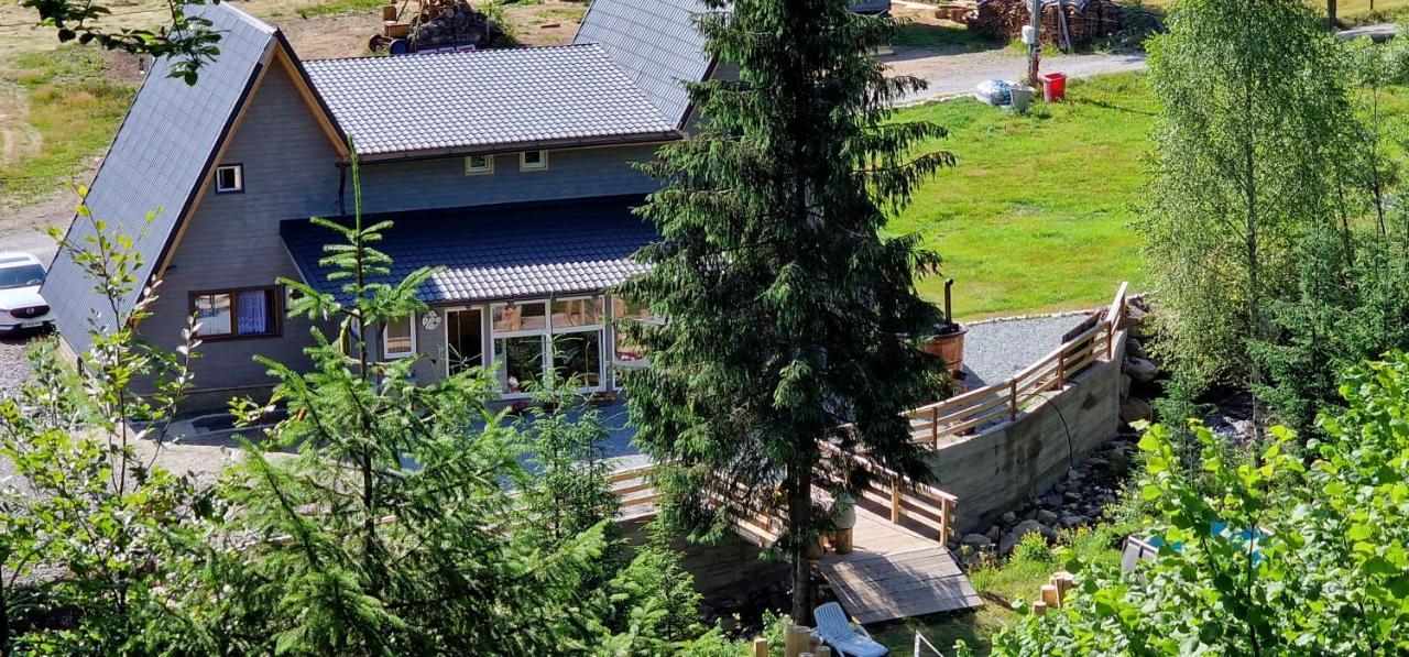 Cabana Din Vale Arieseni Apuseni Zewnętrze zdjęcie
